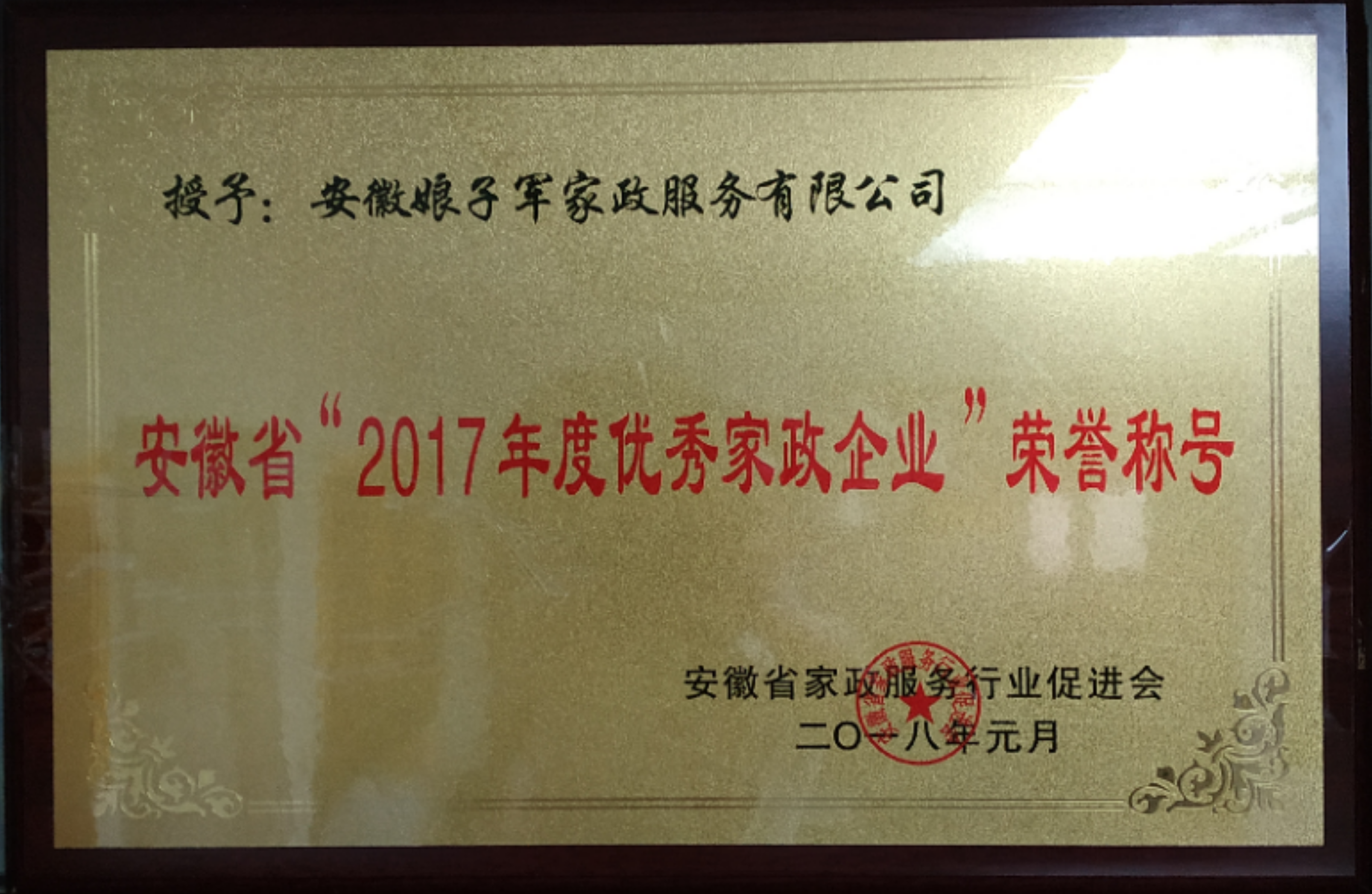 安徽省2017年度优秀家政企业