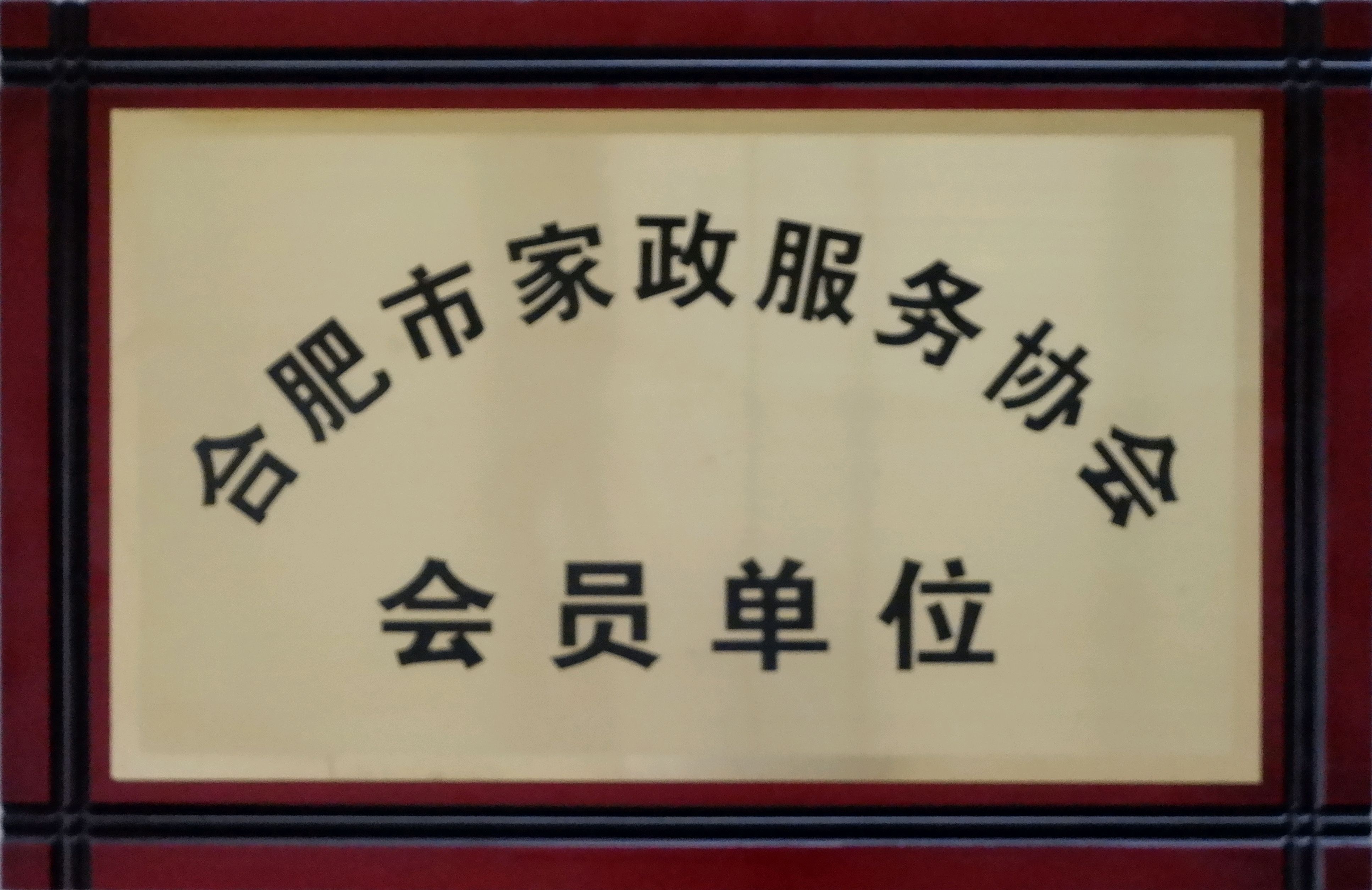 行业认可荣誉