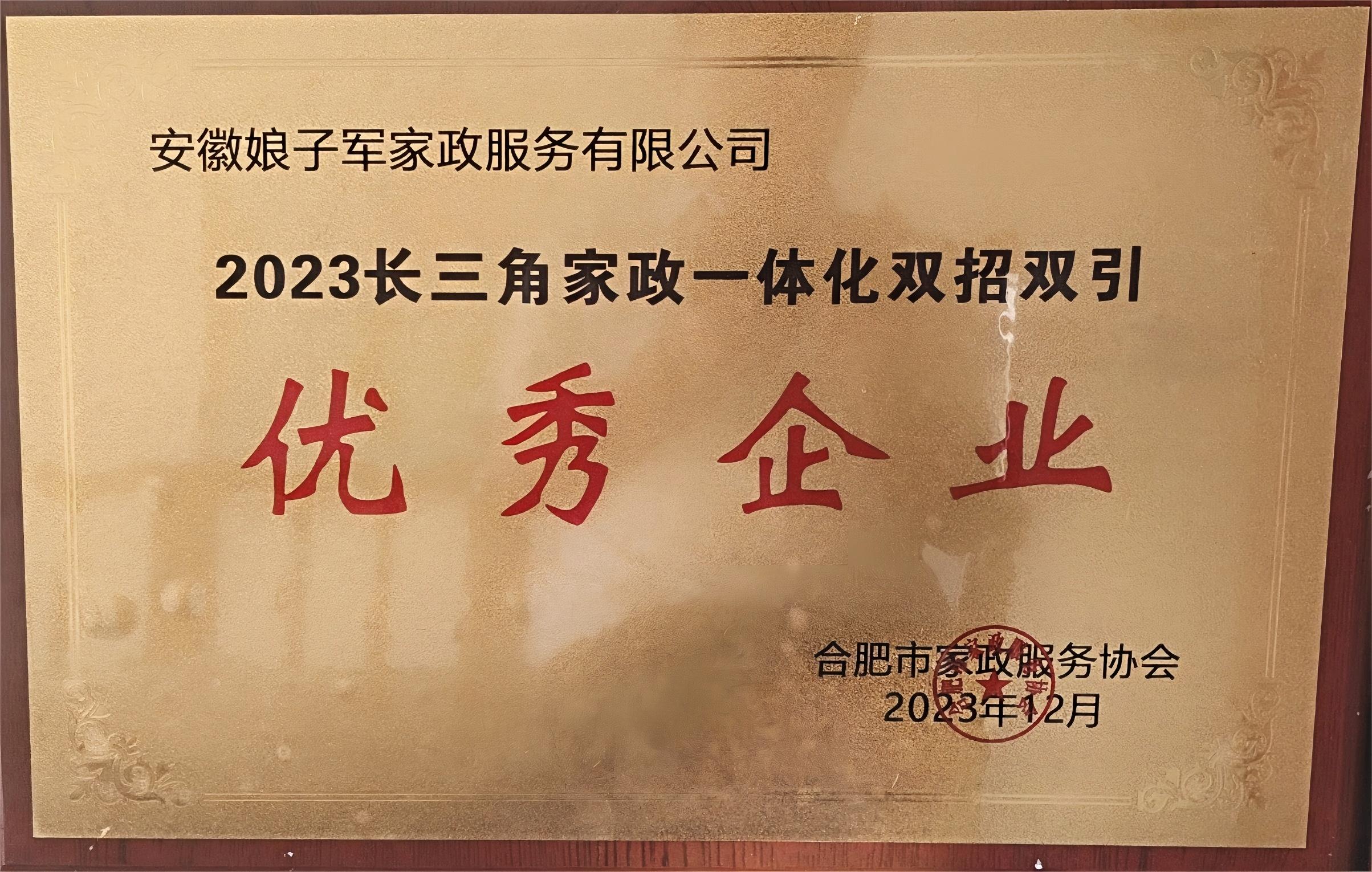 企业荣誉表彰