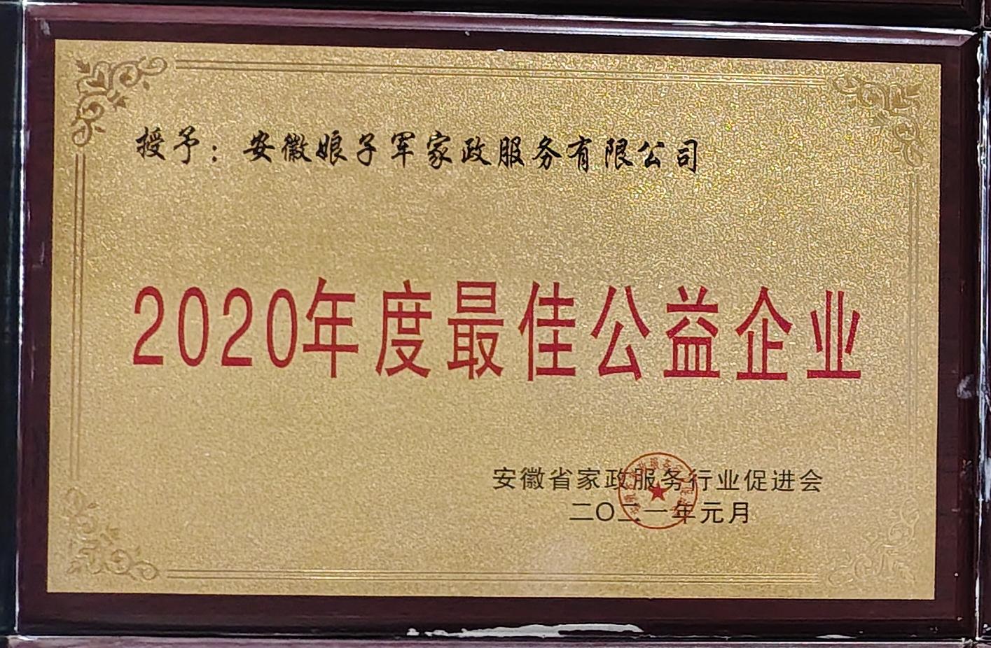 2020年度最佳公益企业