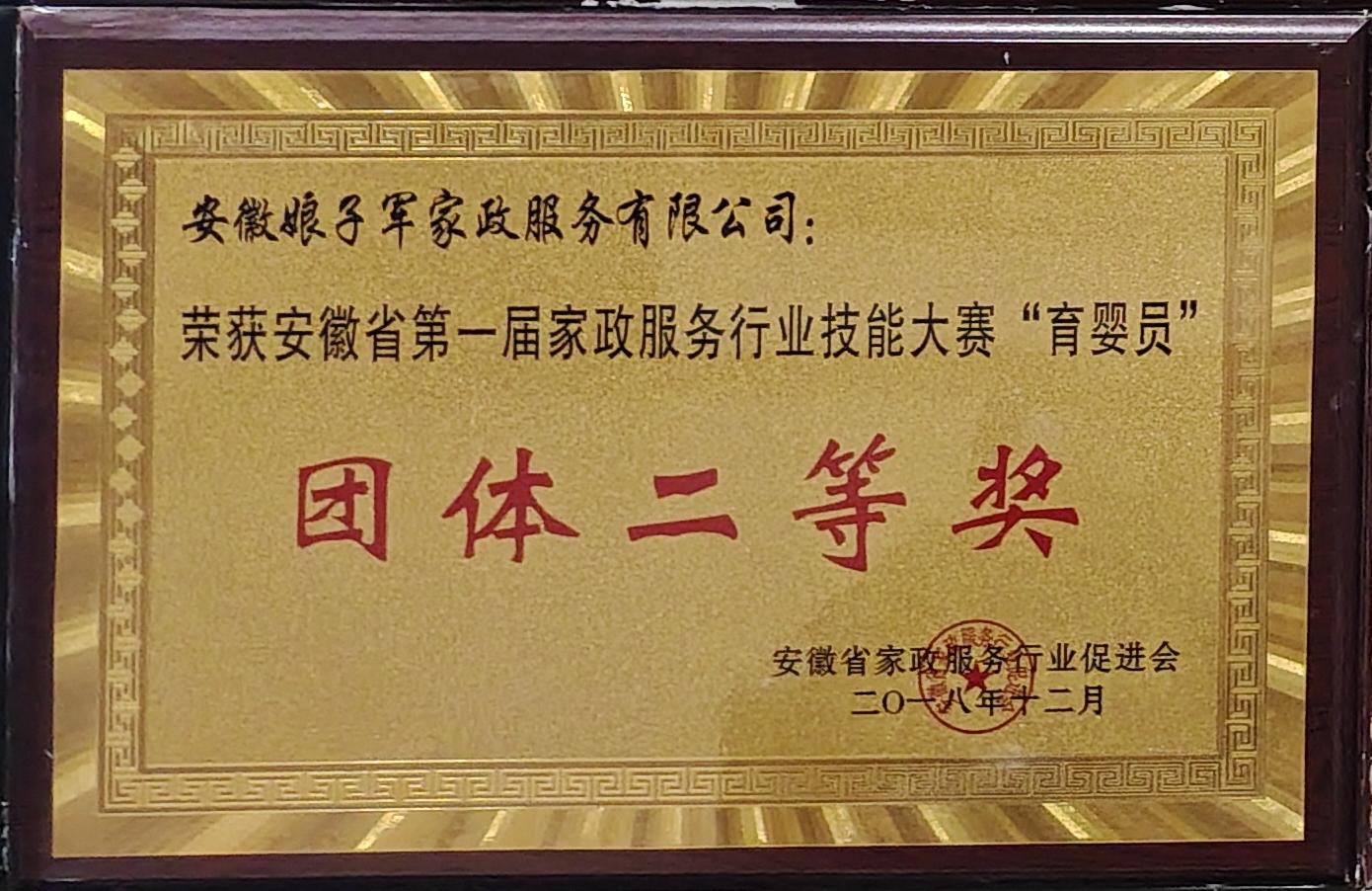 安徽省第一届家政服务行业技能大赛育婴员团体二等奖