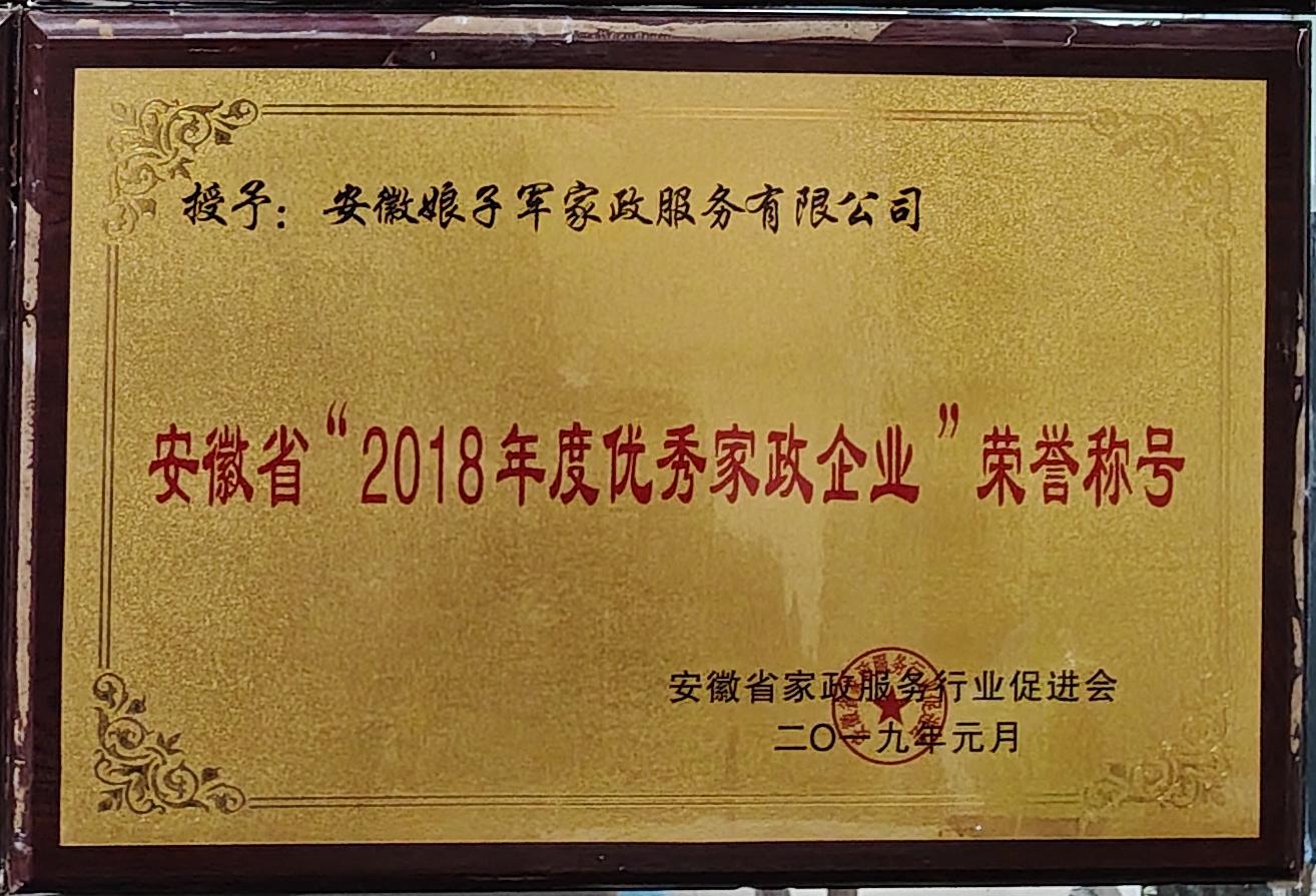 安徽省2018年度优秀家政企业荣誉称号